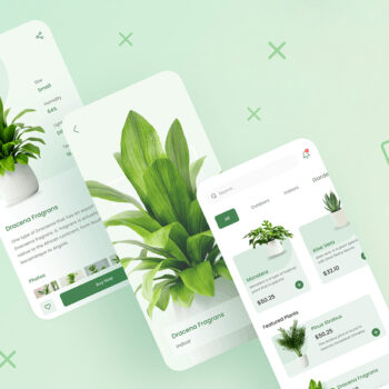 Development of a brand shop for online sales